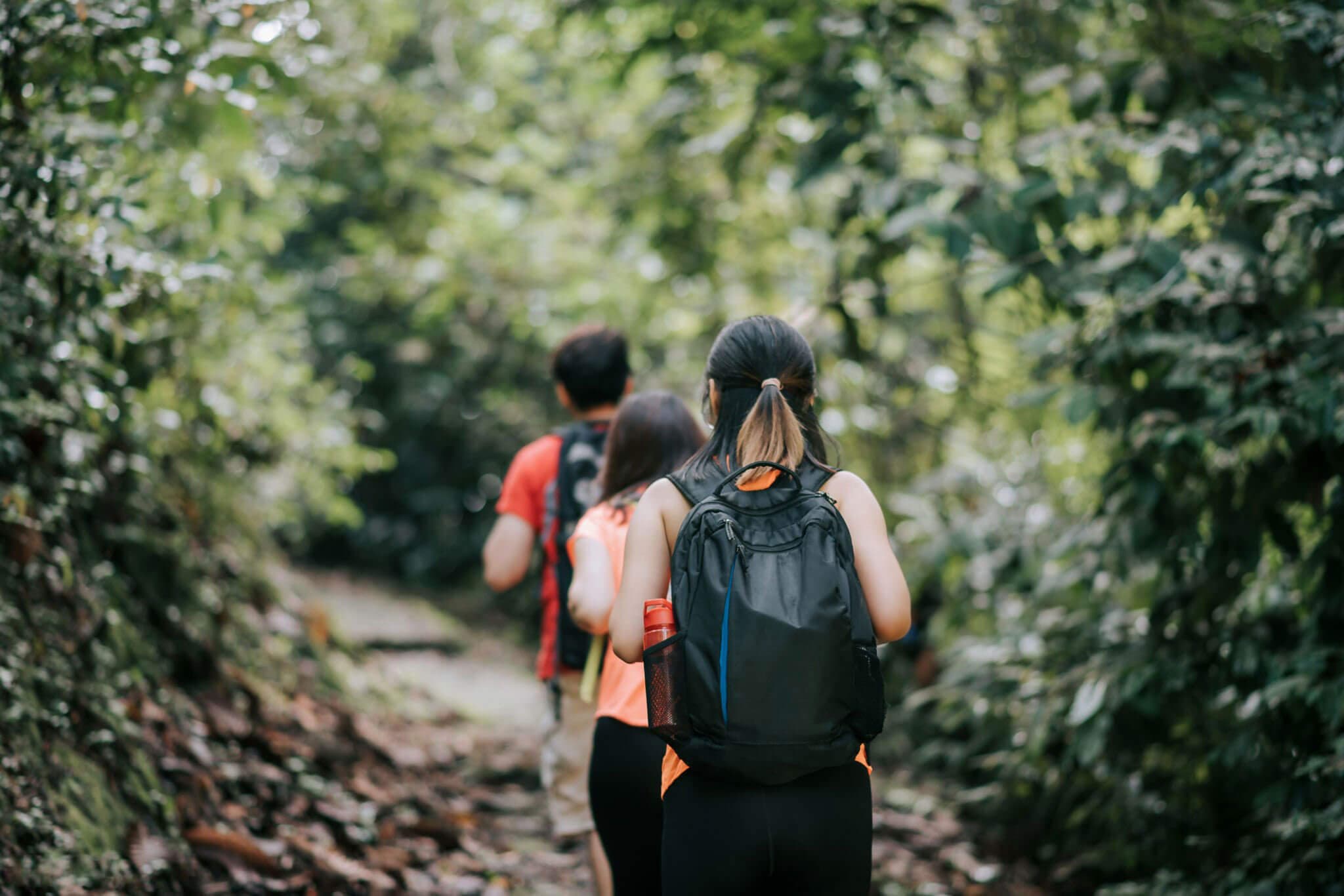 Hiking & Trails Running