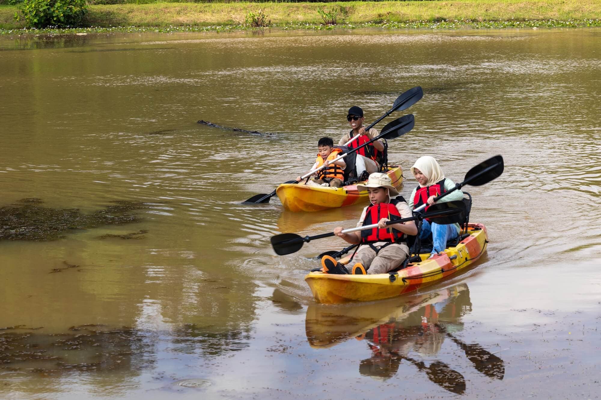 Kayaking Excursions